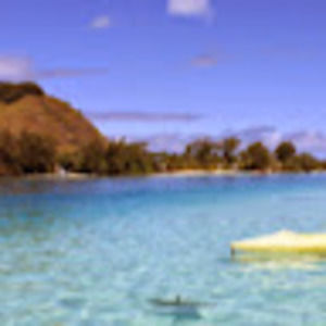 Meet your Posher, Ash